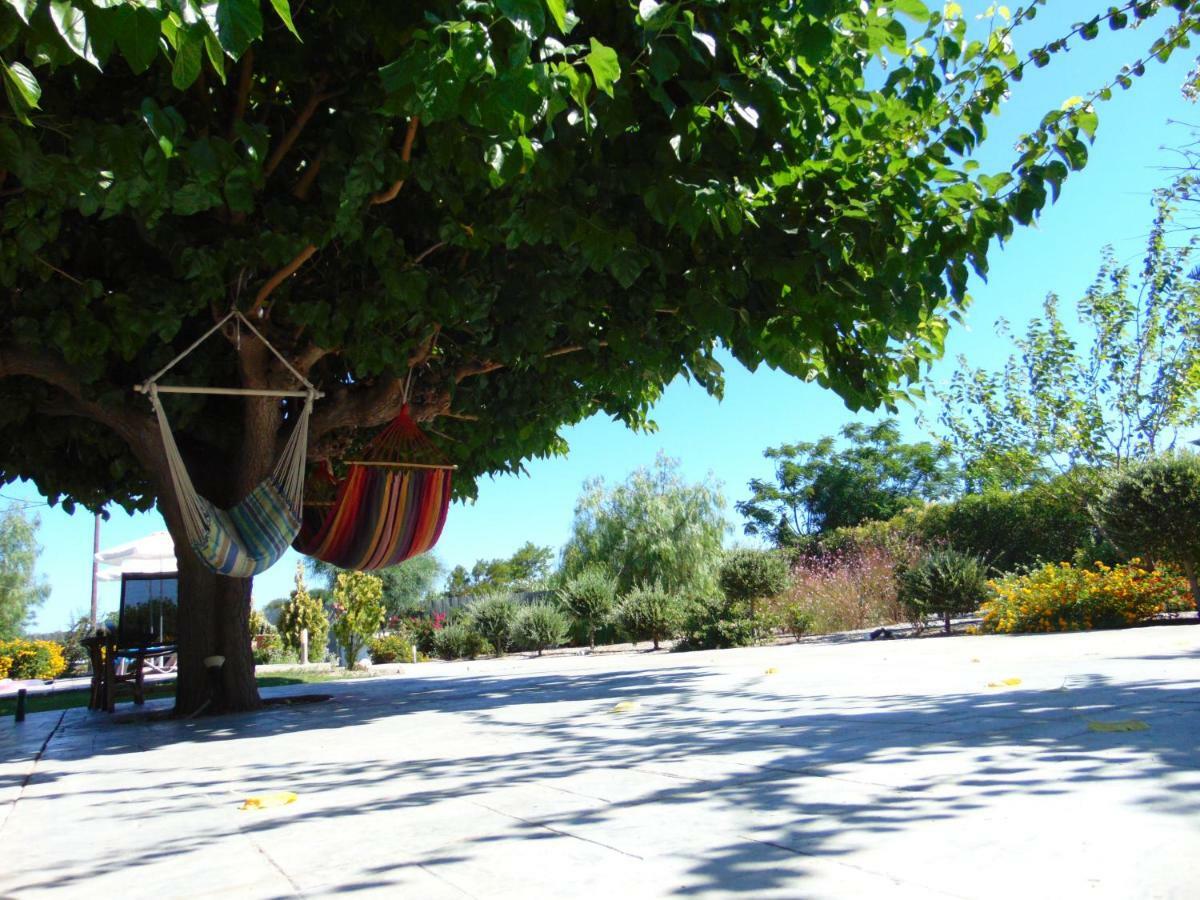 Villa Dora Faliraki Exterior foto